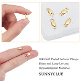 4Pcs Brass Yellow Gold Filled Lobster Claw Clasps, 1/20 14K Gold Filled, Cadmium Free & Nickel Free & Lead Free, 10x4x2mm