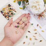 80Pcs 20 Style Natural Mixed Gemstone Connector Charms, Oval Links with Golden Plated Alloy Spacer Beads and 304 Stainless Steel Eye Pins, 14~20x6~7x3~7mm, Hole: 2~3mm, 4pcs/style