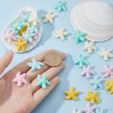 72Pcs 6 Colors Opaque Resin Cabochons, Starfish, Mixed Color, 21x24x6.5mm, 12pcs/color