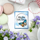 Custom PVC Plastic Clear Stamps, for DIY Scrapbooking, Photo Album Decorative, Cards Making, Butterfly, 160x110x3mm