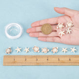 DIY Gemstone Bracelet Making Kits, Including Starfish & Tortoise Synthetic Turquoise Beads, Elastic Thread, Beige, Beads: 100Pcs/set