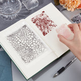 2Pcs 2 Styles Stain & Crack Pattern Clear Silicone Stamps, for DIY Scrapbooking, Photo Album Decorative, Cards Making, Mixed Shapes, 139~160x110~139x2.5~3mm, 1pc/style