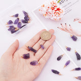 30Pcs Raw Rough Natural Amethyst Pendants, with Real 18K Gold Plated Eco-Friendly Copper Wire Wrapped, Nuggets, 26~31x8.5~9x5.5~7mm, Hole: 3mm