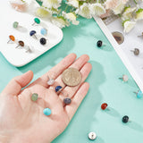 Half Round Gemstone Pins, Iron Drawing Push Pins for Photo, Bulletin Board, 10mm, 15 colors, 2pcs/color, 30pcs/set