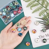 30pcs 10 color Platinum Plated Brass Glass Flat Round with Tree Jewelry Snap Buttons, Cadmium Free & Nickel Free & Lead Free, Mixed Color, 18~19x9~9.5mm, Knob: 5.5mm, 3pcs/color