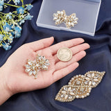 3Pcs 2 Style Hotfix Rhinestone, Iron on Patches, Dress Shoes Garment Decoration, with Plastic Pearl Beads, Flower, Crystal, 3pcs/box
