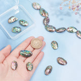 1 Strand Natural Abalone Shell/Paua Shell Beads Strands, Flat Oval, Colorful, 24~32x14~19x4mm, about 15~16pcs/strand, 15.5 inch