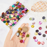 200Pcs 10 Colors Spray Painted Natural Akoya Shell Charms, Mother of Shell, Flat Round, Mixed Color, 13x1.5mm, Hole: 1mm, 20pcs/color