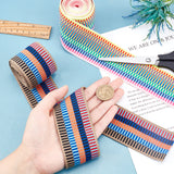 4 Yards 2 Styles Nylon Elastic Ribbon, Flat with Stripe Pattern, Mixed Color, 50x1.3mm, 2yards/style