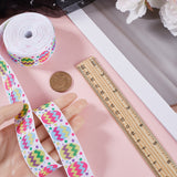 Easter Printed Polyester Grosgrain Ribbon, for Gift Wrapping, Floral Bows Crafts Decoration, Egg, 1 inch(25mm)