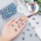 DIY Fish Stretch Bracelet Making Kits, Including Electroplate Glass Beads, Elastic Thread, Sky Blue, Beads: 100Pcs/box