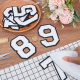 Number 0~9 Towel Embroidery Style Cloth Iron on/Sew on Patches, Appliques, Badges, for Clothes, Dress, Hat, Jeans, DIY Decorations, White, 114~115x49~81x3mmm, 10pcs/set