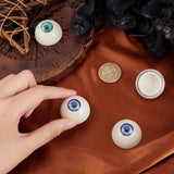 2 Pairs 2 Colors Plastic Craft Eyes, Hollow Eyeballs, for Doll Making, Half Round, Mixed Color, 32.5x18mm, Inner Diameter: 22mm, 1 pair/color