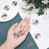 Chakra Themed Natural & Synthetic Gemstone Pendants, with Brass Findings, Flat Round with Tree of Life, Platinum, 29x5~7mm, Hole: 4.5mm, 8pcs