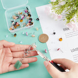 120Pcs 7 Style Cellulose Acetate(Resin) Stud Earring Findings, with 316 Surgical Stainless Steel Pin, Plat Round, Mixed Color, 7style/set