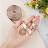 5M Flat Imitation Leather Cord, for Pillow Decor, Misty Rose, 12x1mm, about 5.47 Yards(5m)/Roll