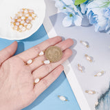 30Pcs 3 Colors Natural Freshwater Pearl Connector Charms, Rice Links, with Golden Plated 304 Stainless Steel Double Loops, Mixed Color, 14~17x5.5~7.5mm, Hole: 1.5~2.5mm, 10pcs/color