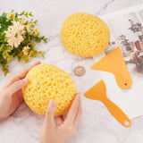 2Pcs 2 Style DIY Plastic Scraper Tool, Ceiling Whitewash Scraper, and 2Pcs PU Sponge Brush, Orange, 10.2~12.3x5.7~10.2x0.2~6.8cm