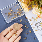 DIY Jewelry Making Finding Kit, Including 304 Stainless Steel Lobster Claw Clasps & Bead Tips & Jump Rings, Real 18K Gold Plated, 250Pcs/box