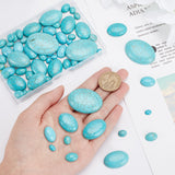108Pcs 7 Styles Synthetic Turquoise Cabochons, Dyed, Flat Back Oval, 8~40x6~30x3~8mm