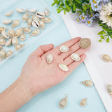 50Pcs Natural Cowrie Shell Pendants, Shell Charms with Real 18K Gold Plated Eco-Friendly Copper Wire, Seashell Color, 28~32.5x14~16.5x11~12.5mm, Hole: 3.6mm