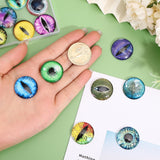30Pcs 15 Colors Luminous Self Adhesive Glass Eyes Cabochons, Glow in the Dark, for Doll Making Accessories, Dome/Half Round, Mixed Color, 25x6mm, 2pcs/color