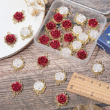 32Pcs 2 Colors Alloy Connector Charms, Light Gold, with Plastic Rose, Mixed Color, 22.5x15.5x6.5mm, Hole: 1.5mm, 16pcs/color