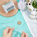 100M Nylon Braided Ribbon, Clothes Accessories, Flat, Silver, 1/8 inch(3mm), about 109.36 Yards(100m)/Roll