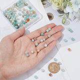 2 Strands Natural Flower Amazonite Beads Strands, Round, 6mm, Hole: 1mm, about 62pcs/strand, 15.2 inch