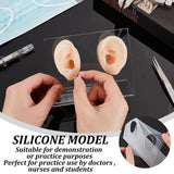 2Pcs 2 Styles Silicone Ear Flexible Model Body Part Displays, Earring Display Holder, with Plastic Stands, Mixed Color, Stand: 12x5.2x9.8cm, Silicone Ear: 5.9x3.8x3.1cm, 1pc/style, about 3pcs/set