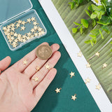 304 Stainless Steel Charms, Star, with Bead Container, Golden, 10x8x1mm, Hole: 1.2mm, about 50pcs/box