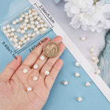 70Pcs Natural Cultured Freshwater Pearl Charms, with Platinum Tone Brass Ball Head pins, Oval, Golden, 10~12x6.5~8x4~5.5mm, Hole: 2.3~2.6mm