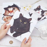 3 Sheets 3 Styles PVC Waterproof Self-Adhesive Stickers, Frosted 3D Cat Decals for Car, Motocycle Decor, Mixed Color, 212x166x0.2mm, Stickers: 165~209x153~214mm, 1 sheet/style