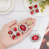 2 Pairs 2 Style Detachable Rhinestone Shoe Decoration, with Alloy Buckle Clip, Red, 39~53x47~53x13~14mm, 1 pairs/style