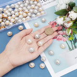 80Pcs 2 Colors Sew on Rhinestone, Resin Rhinestone, with Iron Prong Settings and Plastic Imitation Pearl Beads, Garments Accessories, Faceted, Flower, Platinum & Golden, 16x12mm, Hole: 5x3mm, 40pcs/color