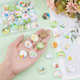 1 Bag Glass Cabochons, Half Round/Dome with Easter Theme Pattern, Mixed Color, 25mm, about 50pcs/bag