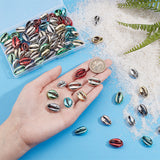 80Pcs 8 Colors Electroplated Cowrie Shell Beads, Mixed Color, 15~20x10~12x5~6mm, Hole: 12~14x2~3mm, 10pcs/color