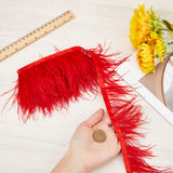 Ostrich Feather Tassel Ribbon, Dyed Feather Polyester Fringe Trimming, Costume Accessories, Red, 130x0.5mm