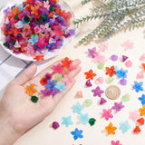 15 Colors 2 Styles Frosted Acrylic Bead Caps, Flower, Mixed Color, 20x21.5x4.5mm, Hole: 1.6mm & 12x12x9mm, Hole: 1.2mm