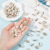 300Pcs Natural Cowrie Shell Pendants, Shell Shaped Charms, Seashell Color, 10~17x10~11x7~9mm, Hole: 2mm
