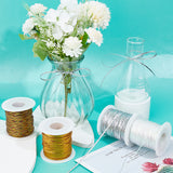 100M Nylon Braided Ribbon, Clothes Accessories, Flat, Silver, 1/8 inch(3mm), about 109.36 Yards(100m)/Roll