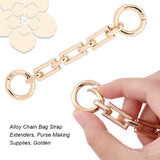 2Pcs Alloy Chain Bag Strap Extenders, Purse Making Supplies, Golden, 12cm