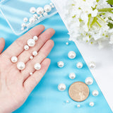 40Pcs 5 Sizes Shell Pearl Beads, Half Drilled Beads, Polished, Round, White, 8pcs/style