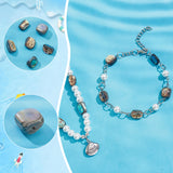 18Pcs Natural Abalone Shell/Paua Shell Beads, Nuggets, Colorful, 10.5x7.5~8.5x4~7.5mm, Hole: 1mm