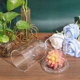 Clear Glass Dome Cover, Decorative Display Case, Cloche Bell Jar Terrarium with Glass Base, Bird, Cover: 90x150mm, Jar: 80~100x100mm