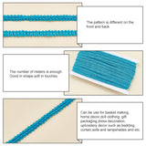 Polyester Braided Lace Trim, Sewing Centipede Lace Ribbon, for Clothes Accessories and Curtains Accessories, Deep Sky Blue, 1/4 inch(8mm), about 27.34 Yards(25m)/Card