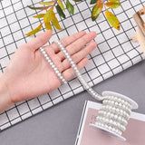 Two Rows Rhinestone Cup Chain((Hot Melt Adhesive On The Back), Hotfix Rhinestone, with ABS Plastic Imitation Pearl and Spools, Crystal, 10x3mm, 4yards/roll(3.65m/roll)
