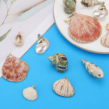 16Pcs 8 Styles Natural Shell Pendants, Shell Shape Charms with Golden Tone Loops, Shell Shape, 19~54x12~48x6~18mm, Hole: 1.2~3.6mm, 2pcs/style