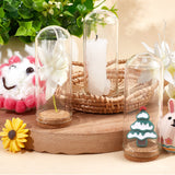 Glass Dome Cloche Cover, Bell Jar, with Cork Base, For Doll House Container, Dried Flower Display Decoration, Clear, 71.5x28mm, 10pcs/box