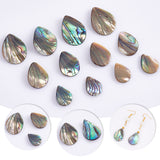 12Pcs 3 Styles Natural Abalone Shell/Paua Shell Beads, Top Drilled, Teardrop, 16~25x12~18x2~6mm, Hole: 0.7mm, 4pcs/style